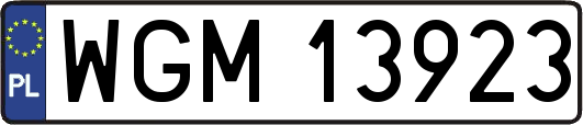 WGM13923