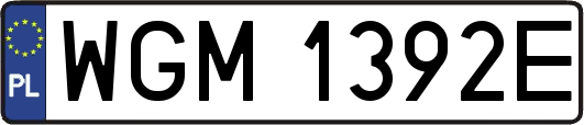WGM1392E