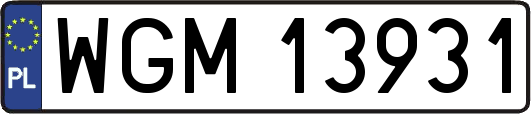 WGM13931