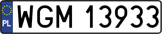 WGM13933