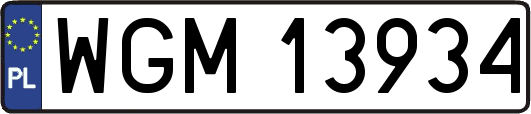 WGM13934