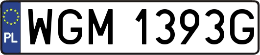 WGM1393G