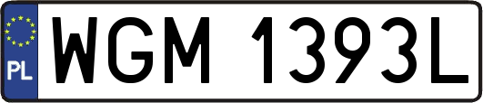 WGM1393L