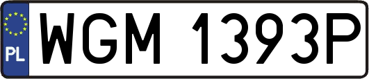 WGM1393P