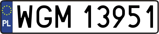 WGM13951