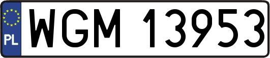 WGM13953