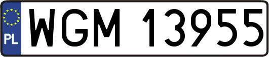 WGM13955