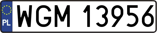 WGM13956