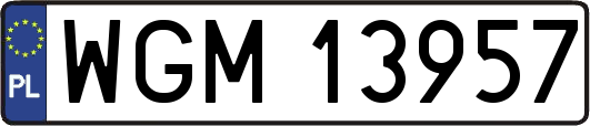WGM13957
