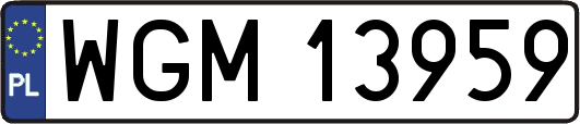 WGM13959