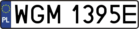 WGM1395E
