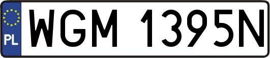 WGM1395N