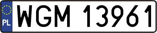WGM13961