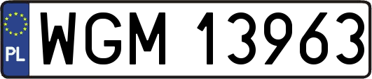 WGM13963