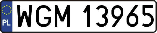 WGM13965
