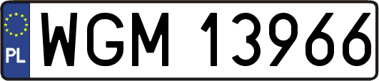 WGM13966