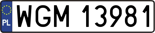 WGM13981