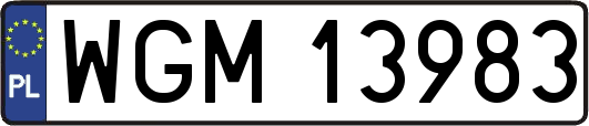 WGM13983