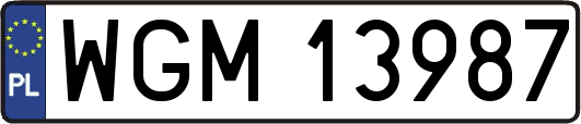 WGM13987