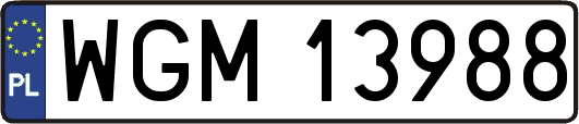 WGM13988