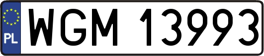 WGM13993