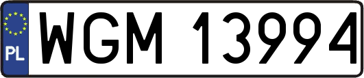 WGM13994