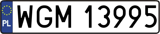 WGM13995