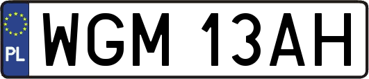 WGM13AH