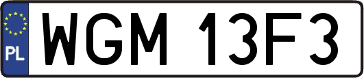 WGM13F3