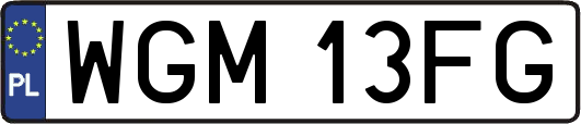 WGM13FG