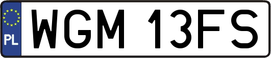 WGM13FS