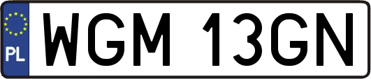 WGM13GN