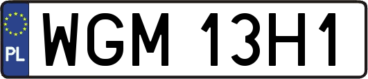 WGM13H1
