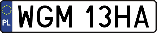 WGM13HA