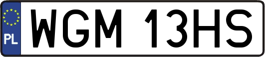 WGM13HS