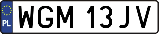 WGM13JV