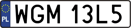 WGM13L5