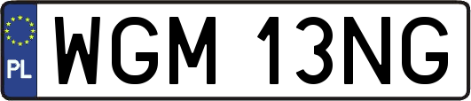WGM13NG