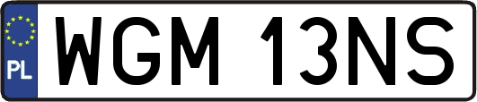 WGM13NS