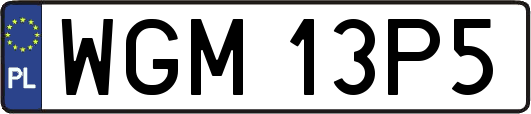 WGM13P5