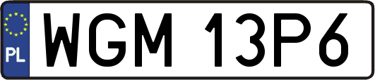 WGM13P6