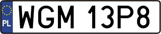 WGM13P8