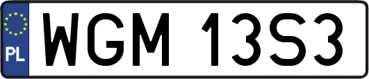 WGM13S3
