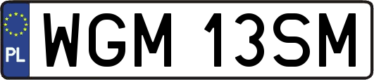 WGM13SM