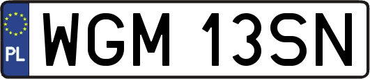 WGM13SN