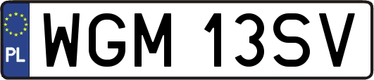 WGM13SV