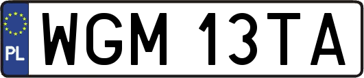 WGM13TA