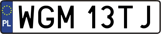 WGM13TJ