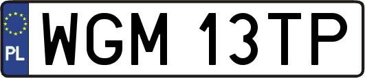WGM13TP