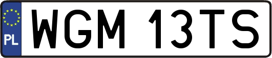 WGM13TS